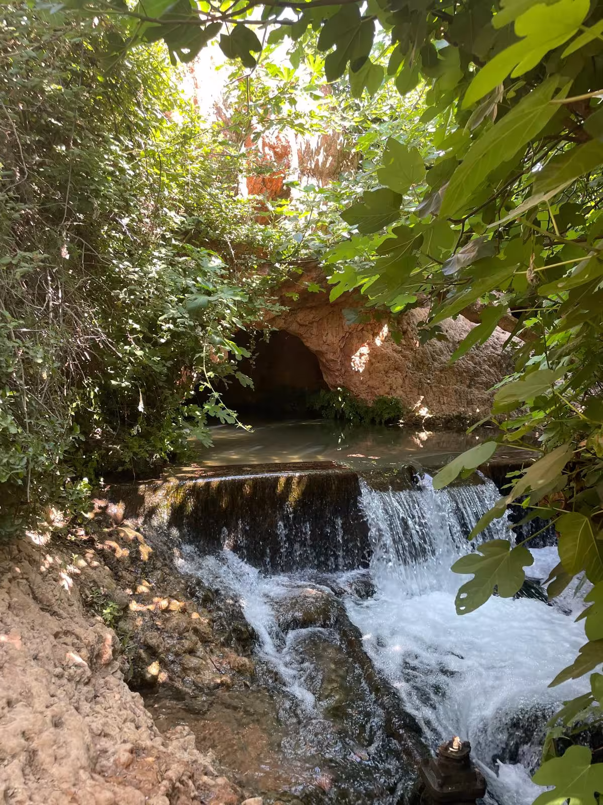 Sophro-balade avec Florence Barrier - Martigues - Vitrolles - cascade de l'Infernet