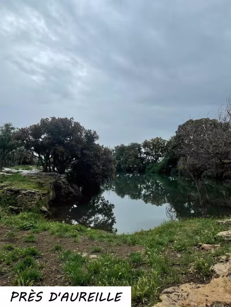 Sophro-balade près d'Aureille